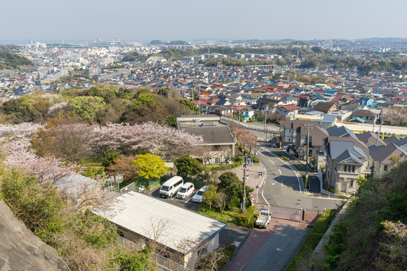 View of Mariko's hometown from the zoo