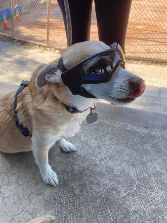 Chori wearing Kii's sunglasses